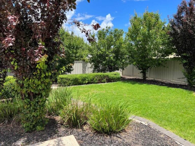 15-Backyard-Lawn-Area-1