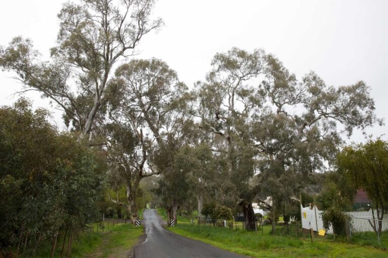 2-road-to-Farm-Stay