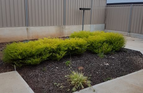 20180524_163128-1