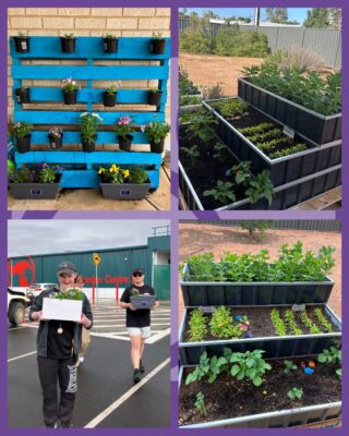 A trip to Bunnings = success 🌼🪴💜
Our Port Augusta STR crew teamed up to choose flowers and pots for their plant display board 🌱✨Great teamwork, lots of smiles, and a fantastic day out in the community 🙌
Want to learn more about Cara STR? Visit our link in bio!#Cara #PortAugusta #STR #CommunityParticipation #Teamwork #I'mPossible #GoodVibes