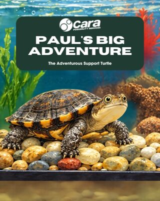 🐢✨ Paul’s back at it again.
Our favourite turtle has been busy exploring, making memories and causing just the right amount of mischief along the way.
 
Where has Paul wandered off to this time? Swipe to find out. 💙 Special thanks to Cara staff member Kasey for the short story (based on true events).
 
#CaraPossibilityServices #WhereDisabilityIsDifferent #PaulsAdventures #TurtleTales #disabilitysupport